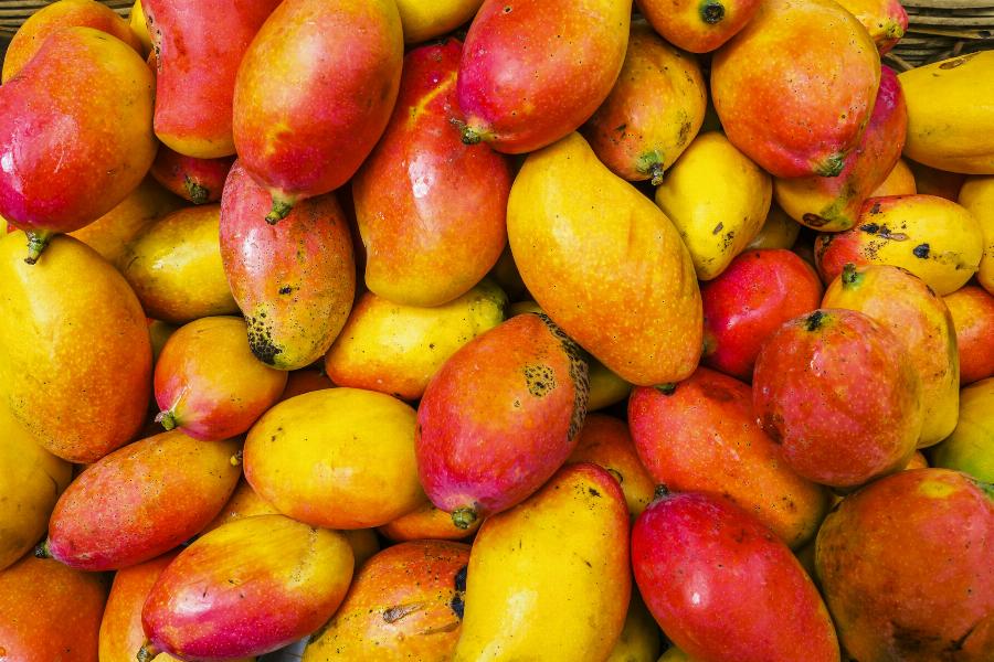 Les fruits exotiques comme la mangue Josée côtoient les épices typiques